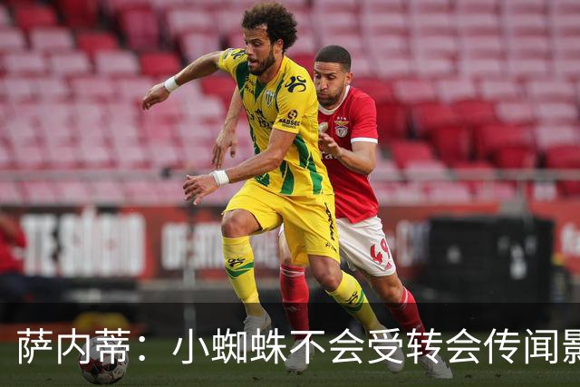萨内蒂：小蜘蛛不会受转会传闻影响 帕斯可能成为阿根廷关键球员